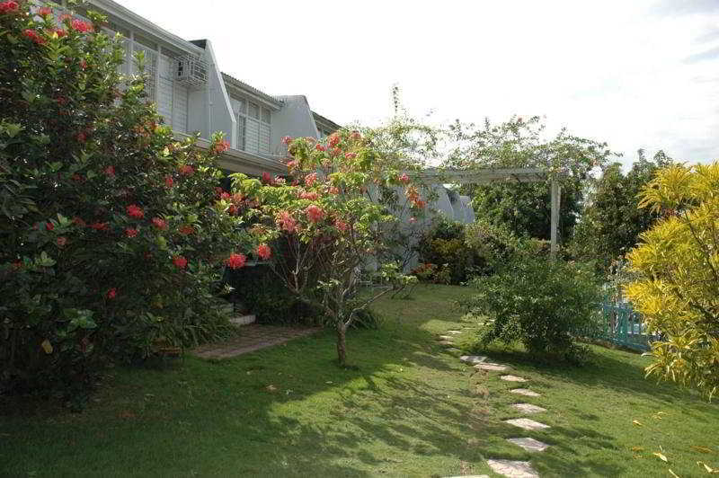 Vila The Gardens Kingston Exteriér fotografie